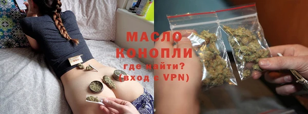 сатива Зерноград
