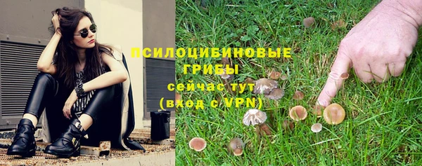 сатива Зерноград