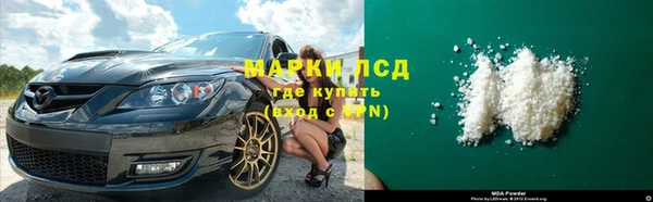 сатива Зерноград
