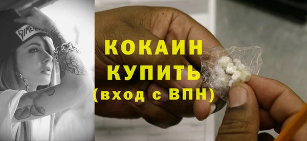 сатива Зерноград