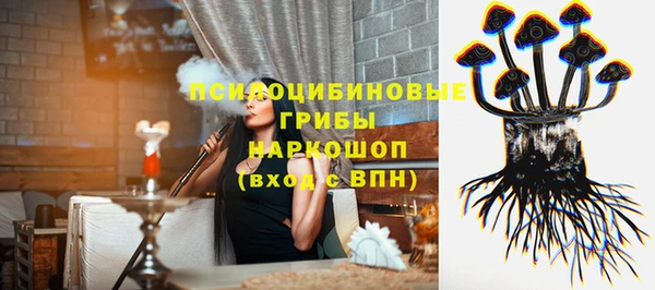 сатива Зерноград