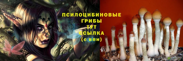 a pvp Зеленодольск