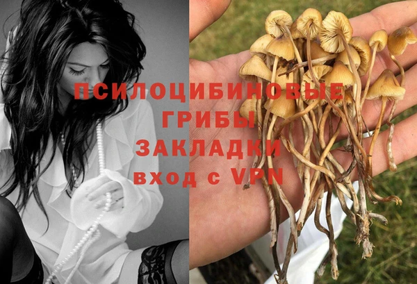 марки nbome Инта