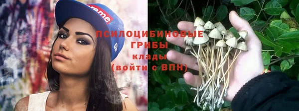 сатива Зерноград